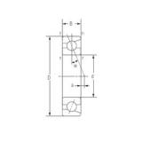 10 mm x 22 mm x 6 mm  NACHI 7900C Disposición dúplex cara a cara Rodamientos